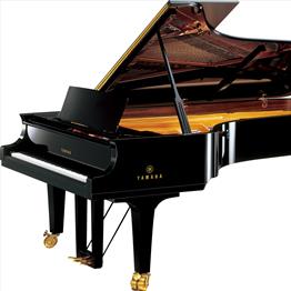 Polyester & High Gloss Lacquered Surfaces